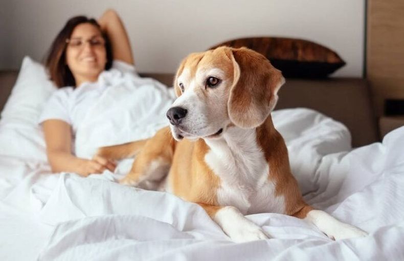Cada 20 de marzo se conmemora el Día Mundial de Concientización sobre los Parásitos.