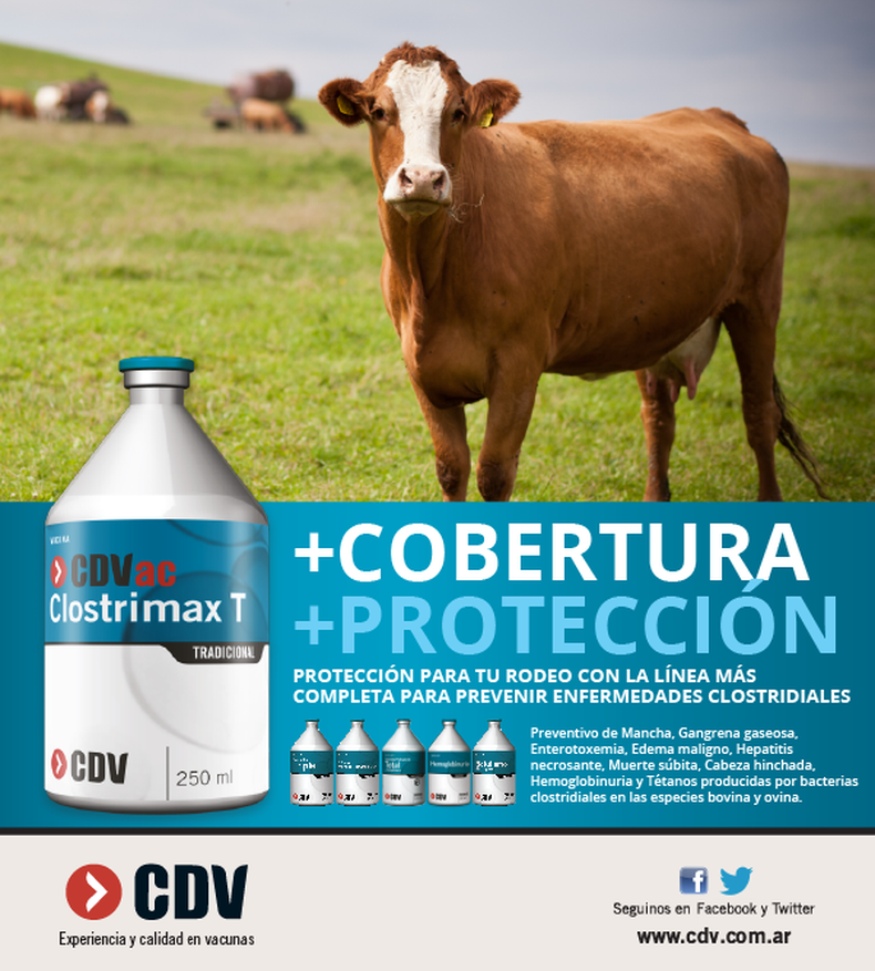 CDV Flyer Clostrimax T 02.png