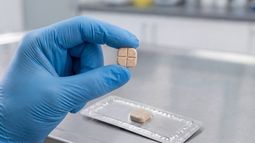 Implicancias de la formulación y la fabricación de los medicamentos veterinarios. Implicancias de la formulación y la fabricación de los medicamentos veterinarios.