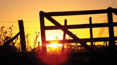 Motivar | campo amanecer.jpg