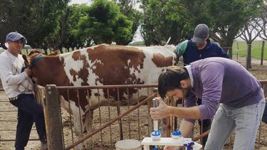 Del laboratorio al campo; ese fue el recorrido realizado por muchas de las tecnologías que han revolucionado la reproducción animal.