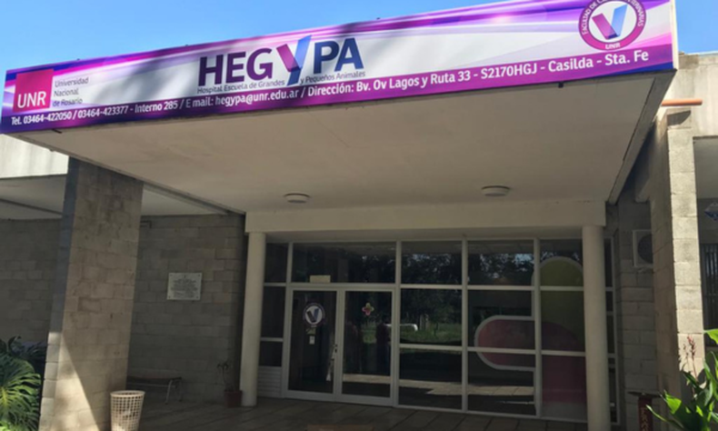 Para fortalecer el área de Biología Molecular de la FCV, la UNR adquirió nuevo equipamiento.