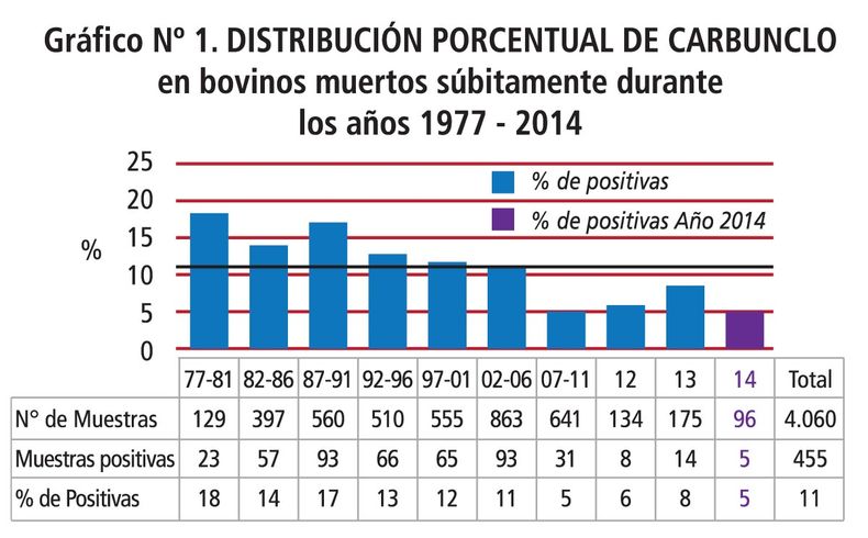 Grafico Carbunclo.jpg