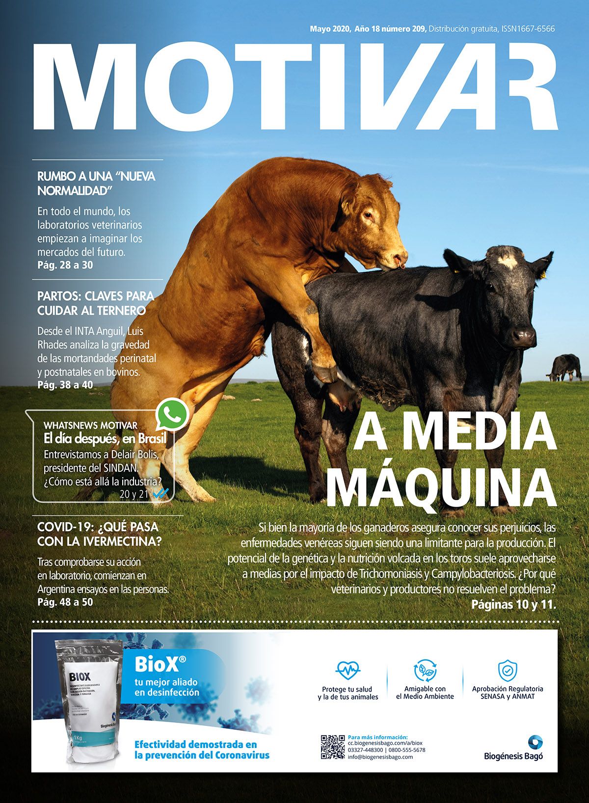 Edición Impresa, Edición N° 209 – Mayo 2020