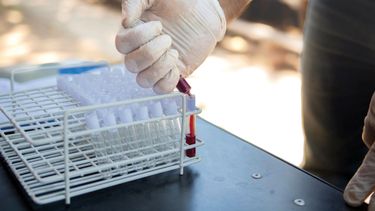 El buen manejo y un plan sanitario acorde en una empresa ganadera es sinónimo de rentabilidad.