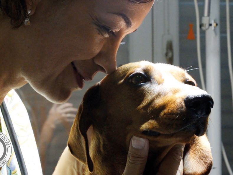 Parasitos Mariela Varesse.jpg