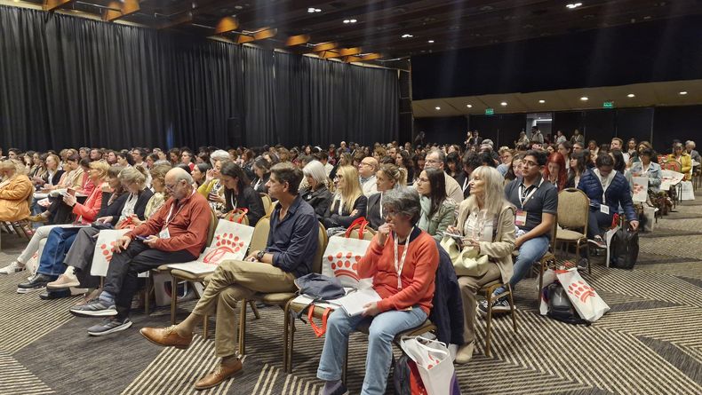 AAMeFe reunió a la comunidad felina en un congreso de alto impacto.