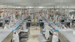 Se renovaron los criterios de bienestar animal dentro del organismo sanitario. Se renovaron los criterios de bienestar animal dentro del organismo sanitario.