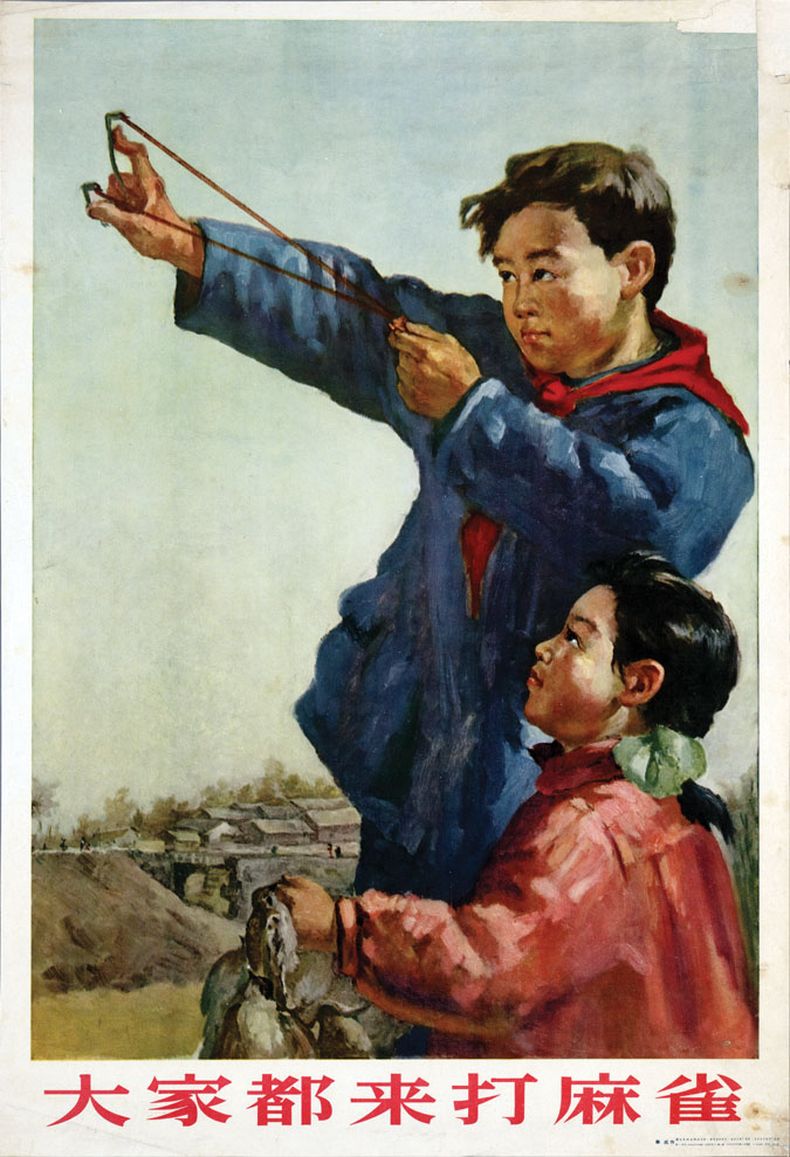 Foto Goya.jpg