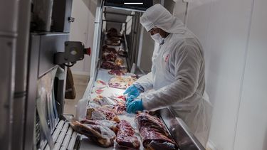 El sector agropecuario argentino impulsa sus exportaciones de carne con nuevas habilitaciones, fortaleciendo la industria frigorífica.