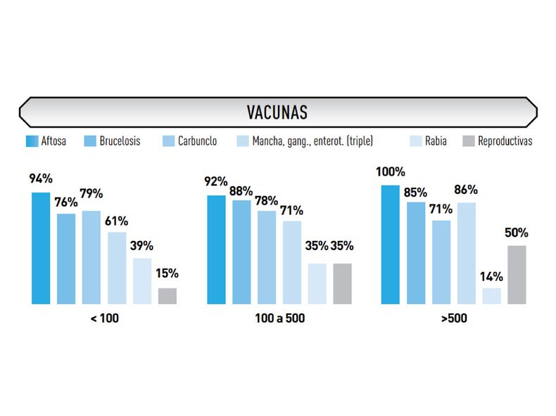 rodeos cria chaco inta.jpg