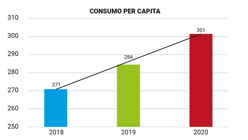Grafico consumo per capita CAPIA.jpg