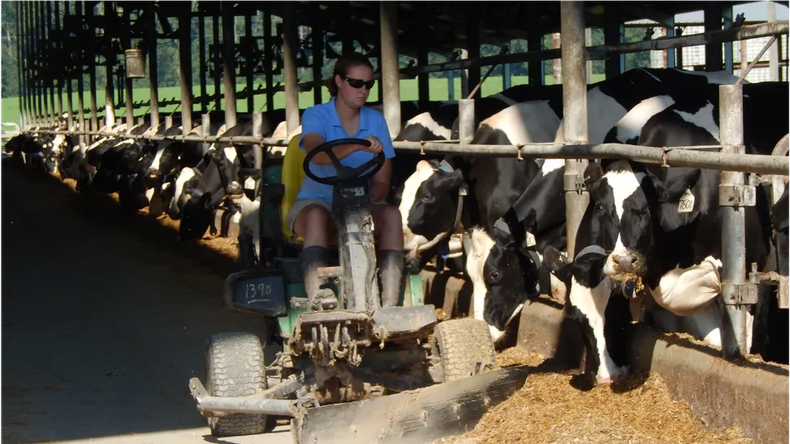 Lechería. El confort animal es tan importante como la genética o la dieta.