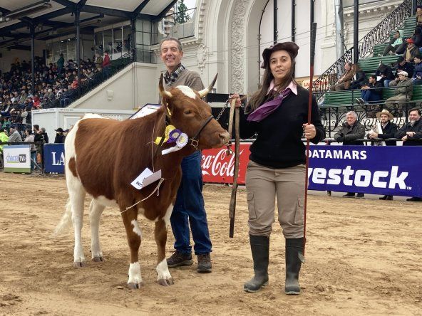 La vaquillona Yoli, en La Rural.