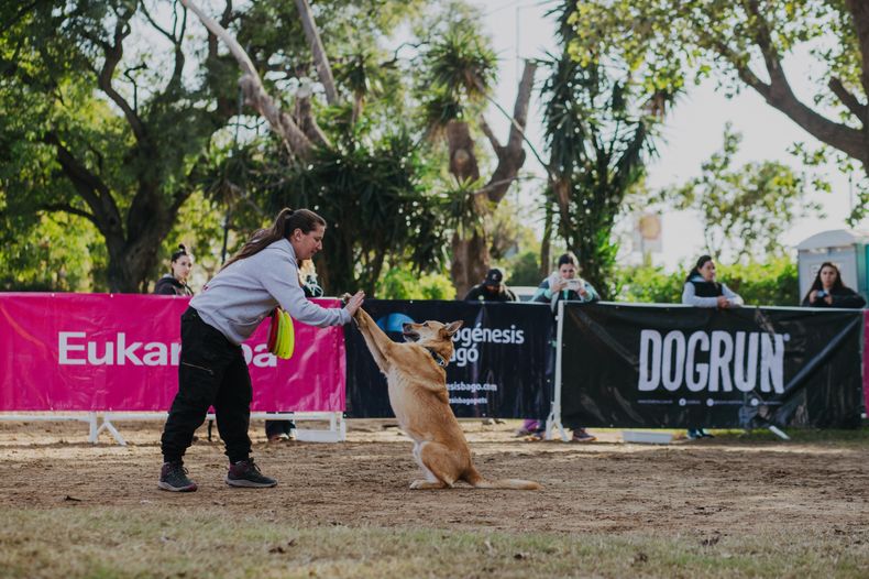 Biogénesis Bagó, presente en una nueva edición de Dogrun.