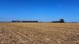 El manejo agrícola es clave para preservar la estructura del suelo y su capacidad de almacenar carbono, pilares de una producción sostenible.