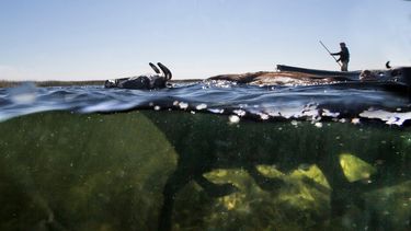 El Niño una vez más golpea a los productores y los deja con el agua hasta el cuello.