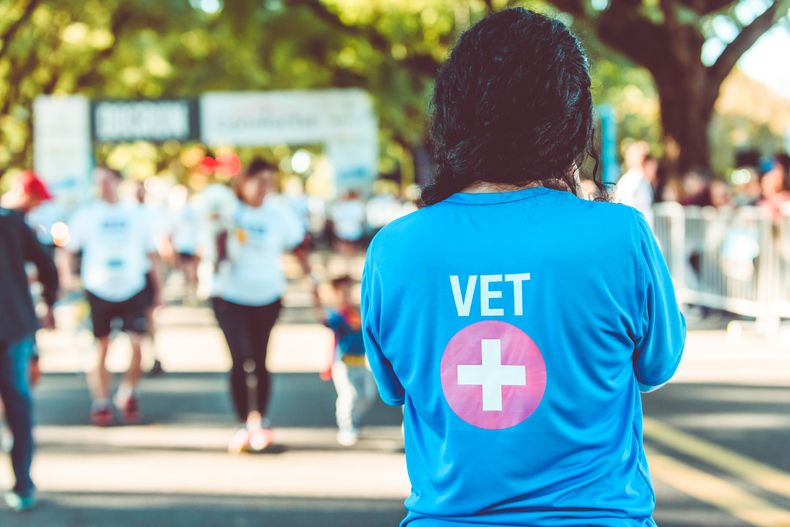 Esta edición de DOGRUN busca&nbsp; afianzar la conexión entre las personas, sus perros y el bienestar compartido.
