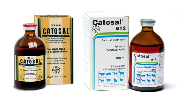 Foto Catosal Bayer.jpg