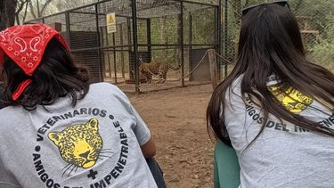 Veterinarios Amigos del Impenetrable acceden a zonas donde la atención veterinaria es inexistente.&nbsp;