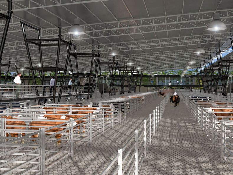 Mercado Agroganadero Nueva.jpg