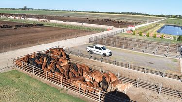 Motivar | Conecar.jpg