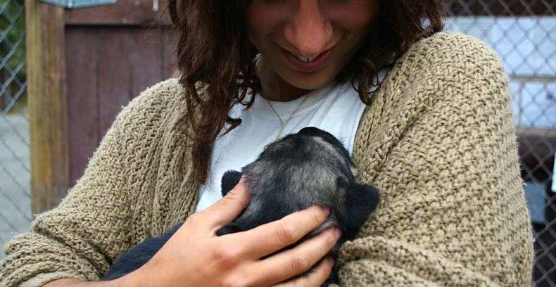 El objetivo de Royal Canin es poder brindar una mejor adaptación de los nuevos integrantes al hogar.