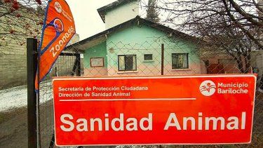 Un rebrote de brucelosis canina encendió la alarma e impulsó el estudio.