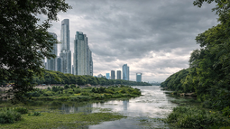 El último brote de influenza aviar reportado por Senasa se dio en la Costanera Sur (CABA). El último brote de influenza aviar reportado por Senasa se dio en la Costanera Sur (CABA).