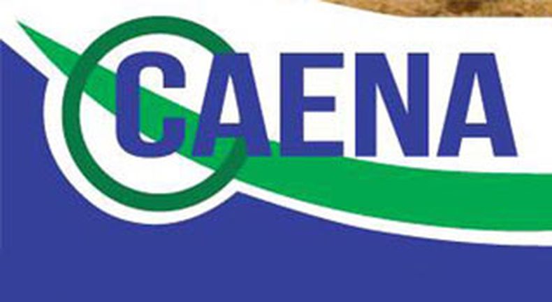 Caena logo.jpg