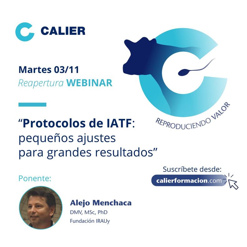 Copia_de_seguridad_de_plantilla POST INTAGRAM.jpg