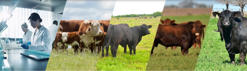 CABIA busca difundir con el Congreso las herramientas para las biotecnologías reproductivas.