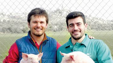 Porcinos: tendencias globales.