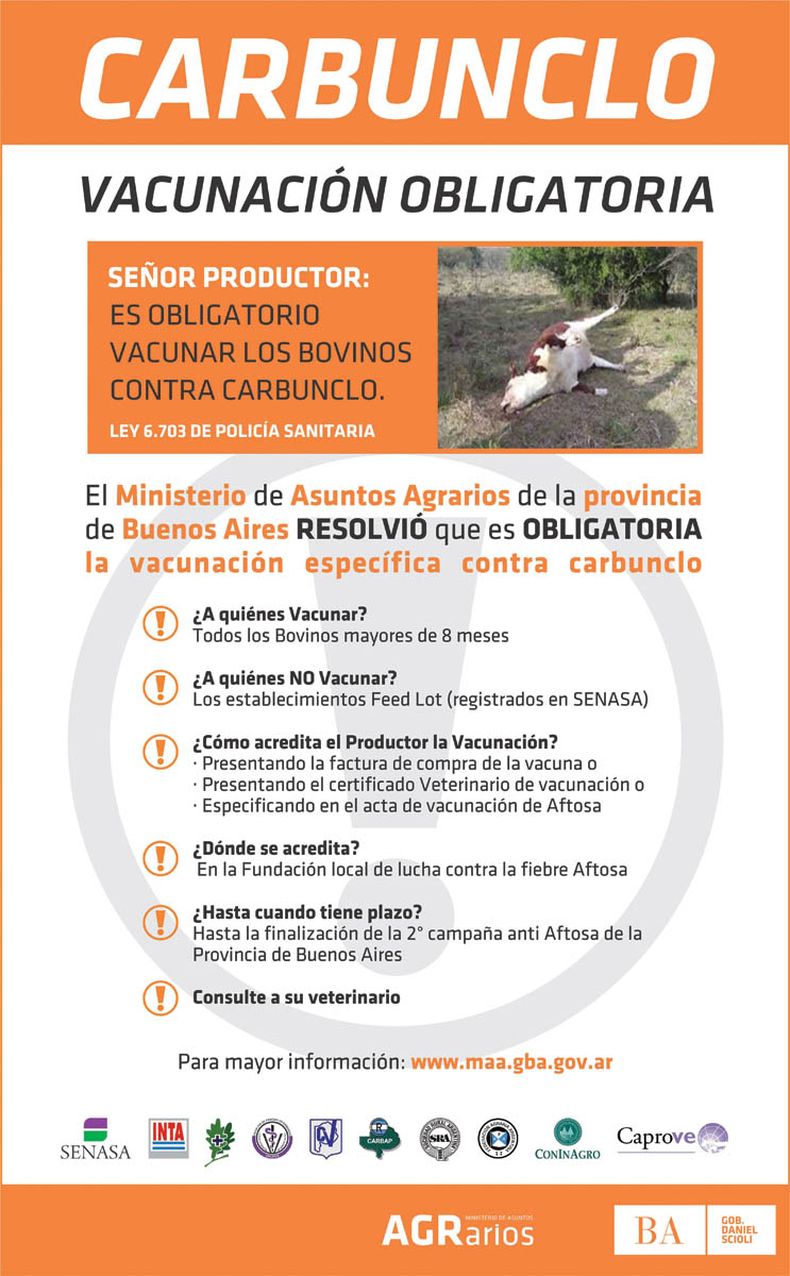 Foto afiche carbunclo.jpg
