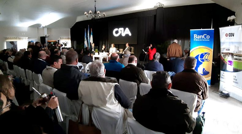 CDV COngreso 2.jpg