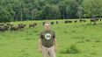 Misiones avanza en la valorización de la carne de búfalo, un producto con identidad propia y potencial de mercado.