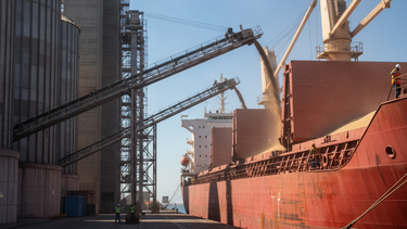 Crecimiento de las exportaciones agroindustriales argentinas a la Unión Europea.