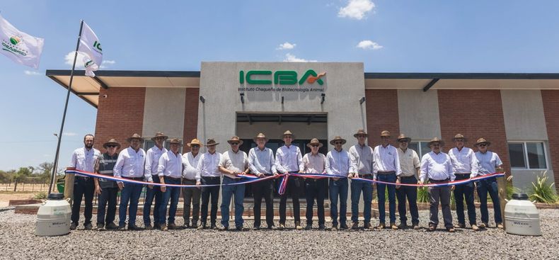 La genética bovina se desarrollará en un laboratorio con tecnología de punta en Paraguay.