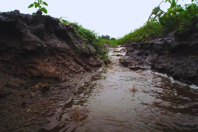 Desde el INTA expliucaron que, en Entre Ríos, másdel 57 % del suelo para producción tiene problemas de erosión hídrica desdeleves a severos.&nbsp;
