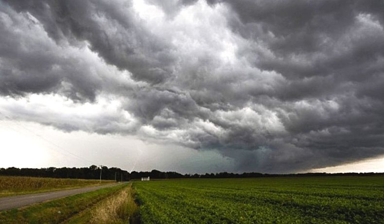 El clima condiciona el avance de la campaña agrícola.