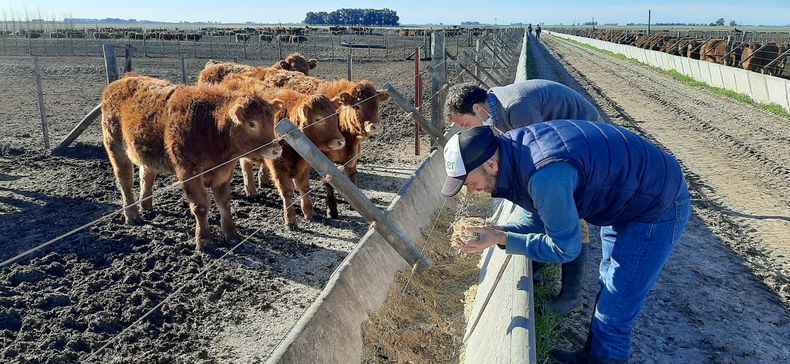 20210713_151311 scaled.jpg