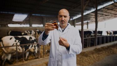 El Colegio de Veterinarios de Santa Fe sostiene la importancia del rol del corresponsable sanitario como actor fundamental en la sanidad animal.