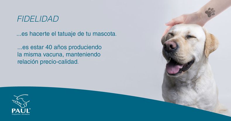 Post Redes Fidelidad nota.jpg