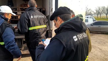 Senasa busca resguardar la inocuidad y calidad de la mercadería transportada y proteger la salud pública.
