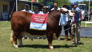 Genética animal: fomentan más inversión y productividad.