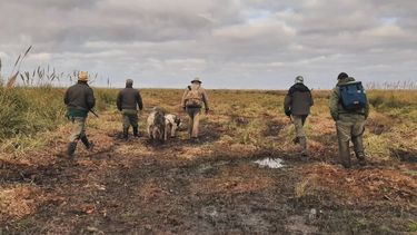 El veterinario recorre junto a guardaparques elterritorio durante acciones de control de especies exóticas invasoras en elParque Nacional Campos del Tuyú.