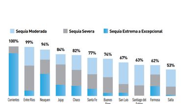 ¿En la antesala de un proceso de liquidación?