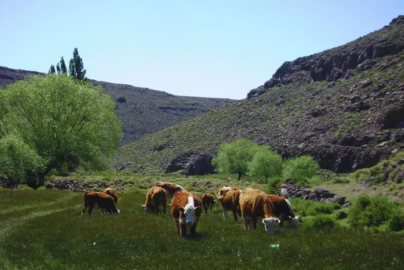 El INTA mide el carbono para potenciar la producción.