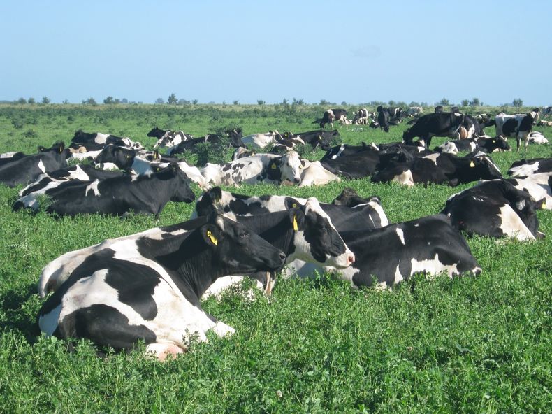 WhatsApp Image 2022 01 24 at 16.09.51.jpeg