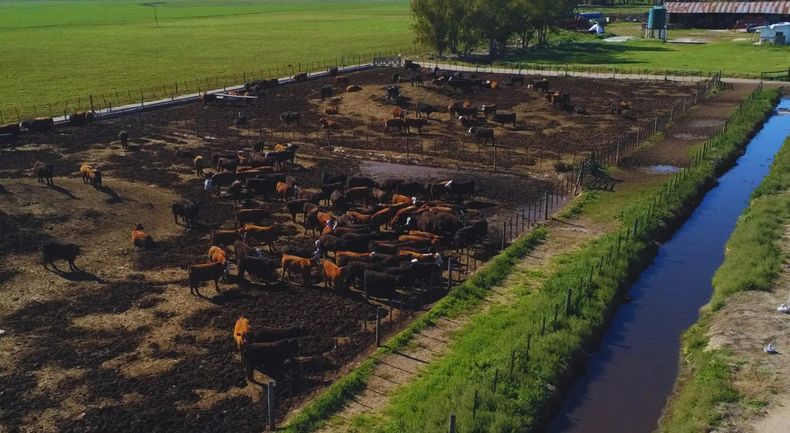 Monitoreo de agua, suelo y aire, y la valorización de residuos, claves para la gestión del feedlot.
